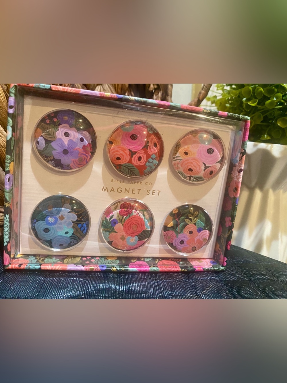Rifle Paper Co. Floral Magnet Set – Pink, Blue & Coral